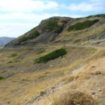 Cerro cavero